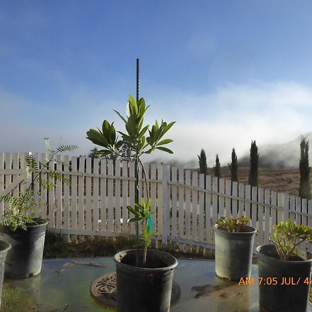 Mansion On The Hill Let 4 Rooms, 5Th Cost Extra Sage 外观 照片